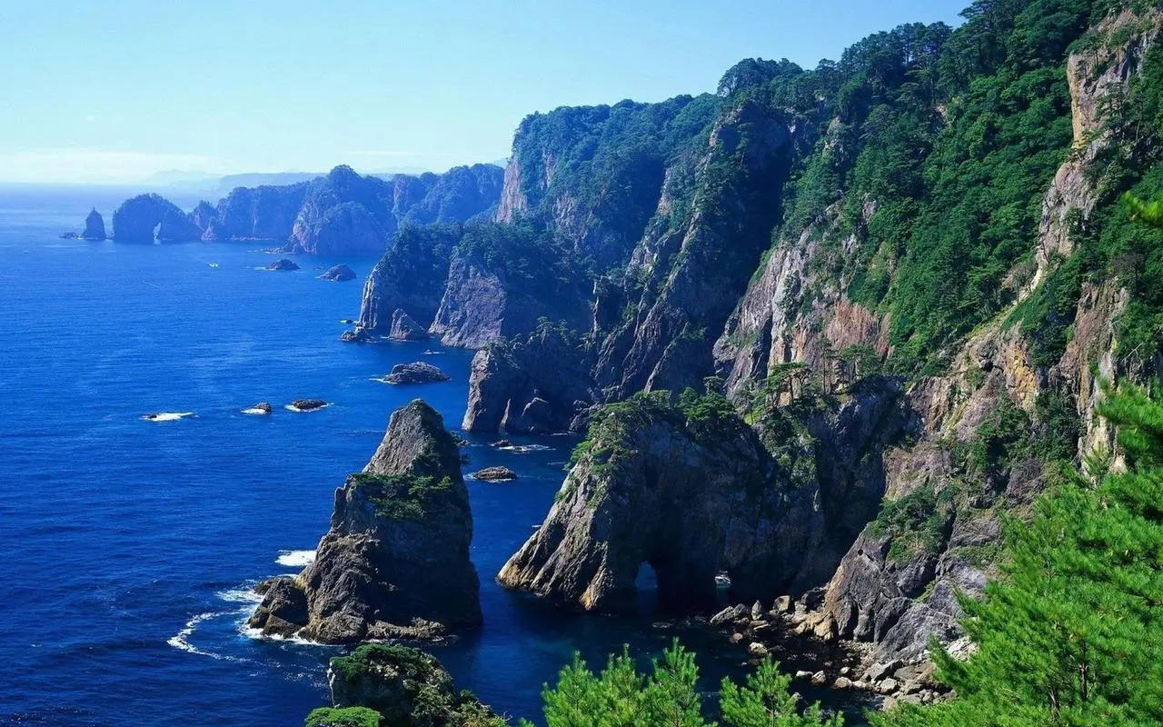 全自动高性能自动化